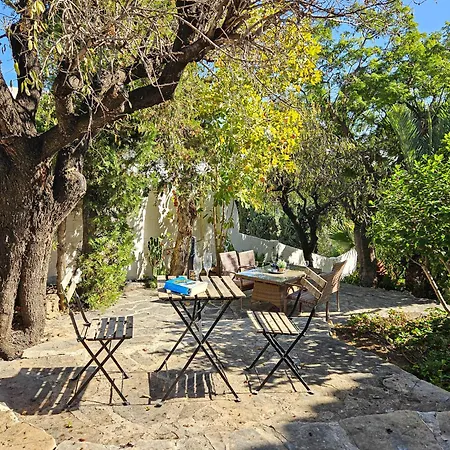 With Private Pool & Outdoor Kitchen